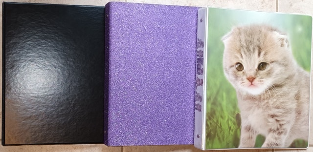 3 NEW 1" Hard Plastic Binders - Black, Purple Sparkles, Cat