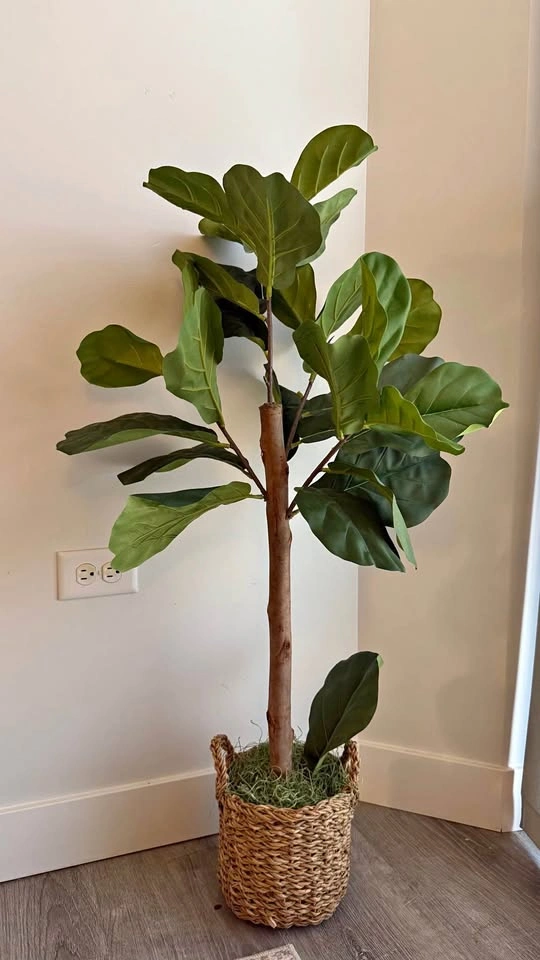 Artificial Leaf (Wayfair)
