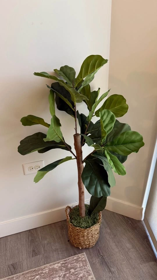 Artificial Leaf (Wayfair) - photo 2