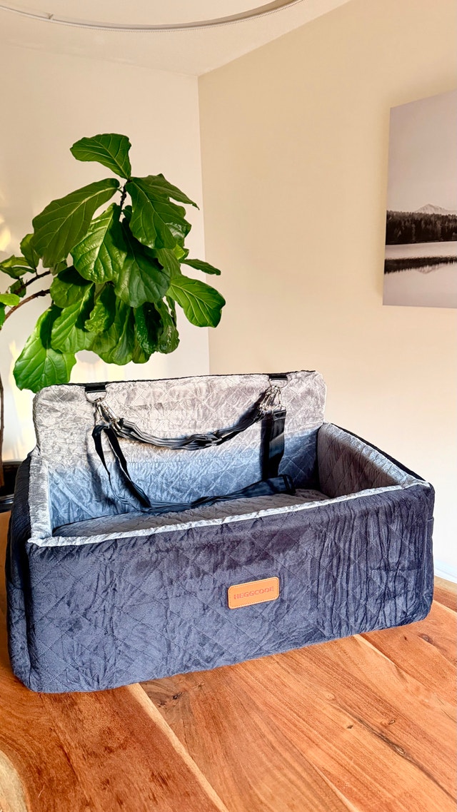 Pet car booster seat