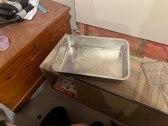 Stainless steel litter box