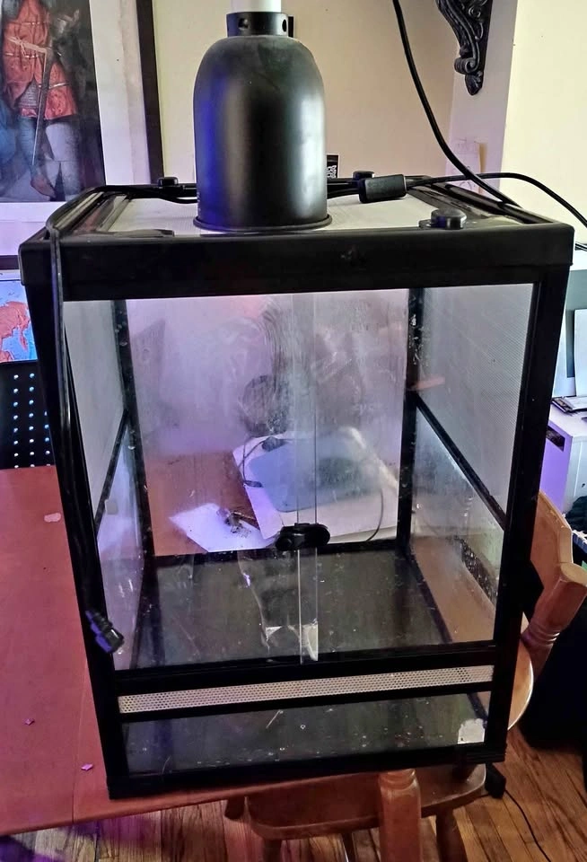 Reptile Enclosures