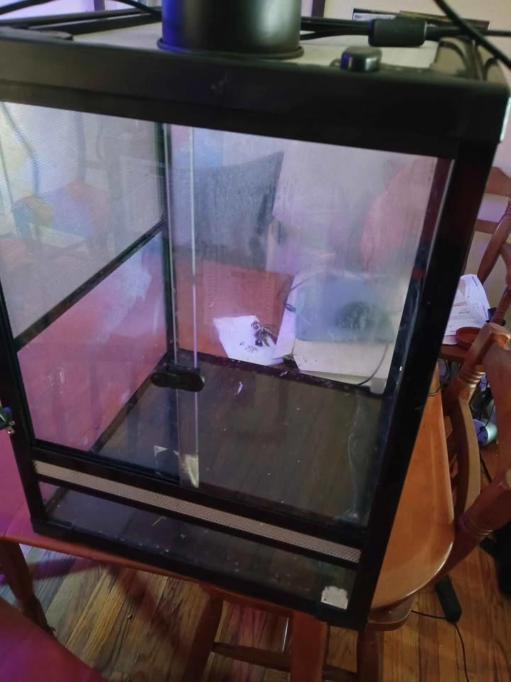 Reptile Enclosures - photo 4