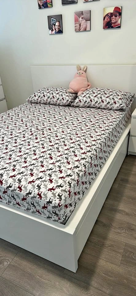 IKEA MALM Queen Bed Frame – Modern Minimalist Design