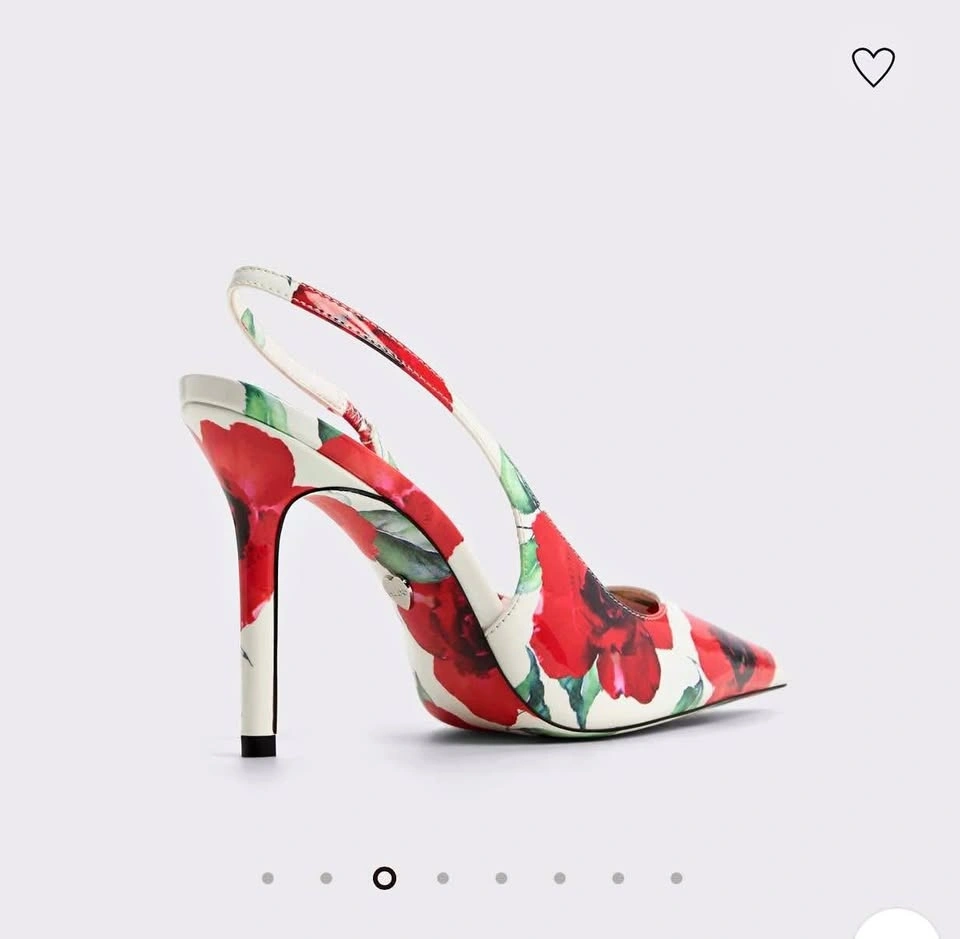 Brand New Aldo shoes