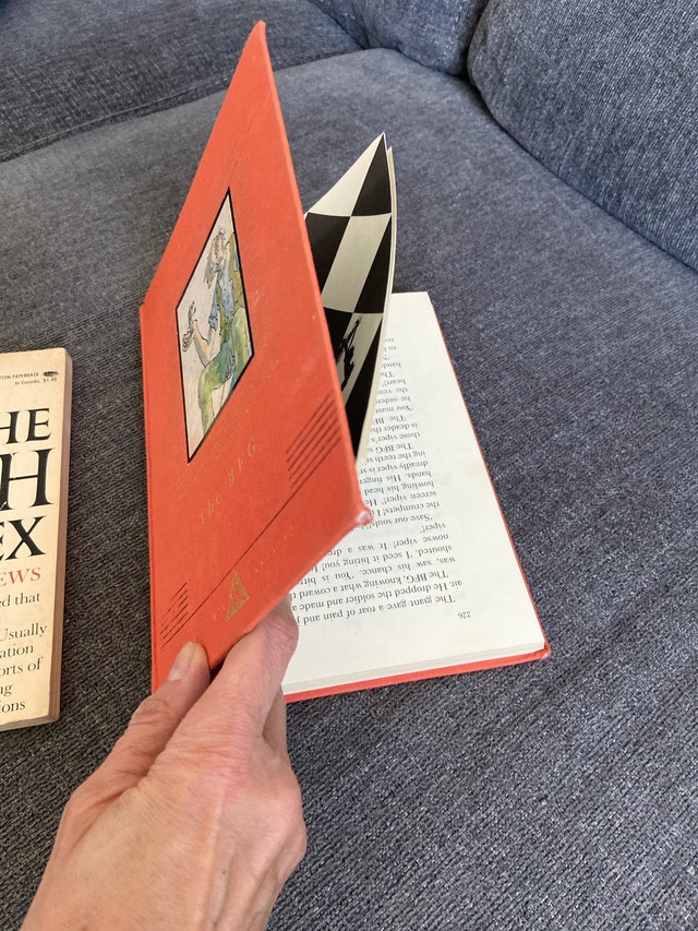 Vintage / Unique Book Lot - The Pooh Perplex + Misprint Hardcove - photo 2