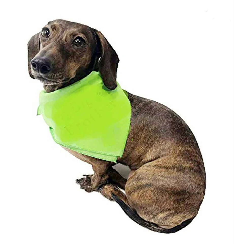 Cooling Pet Bandana - photo 3
