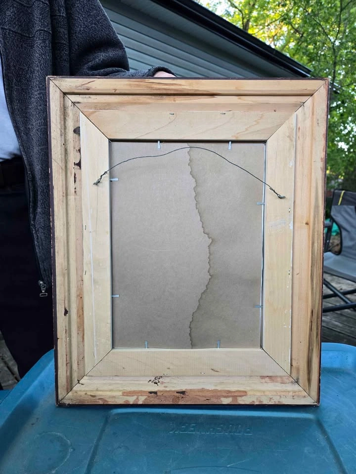 Owl Picture/Frame - photo 2