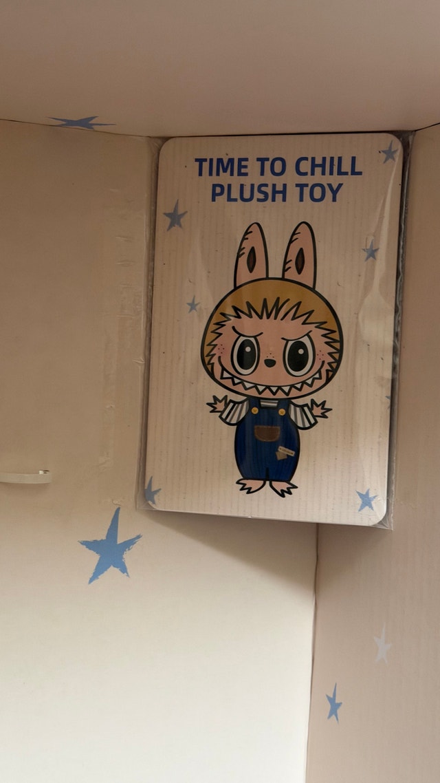 Pop Mart Labubu Time To Chill Vinyle Plush Toy - photo 5