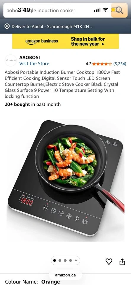 Portable Induction cooker burner