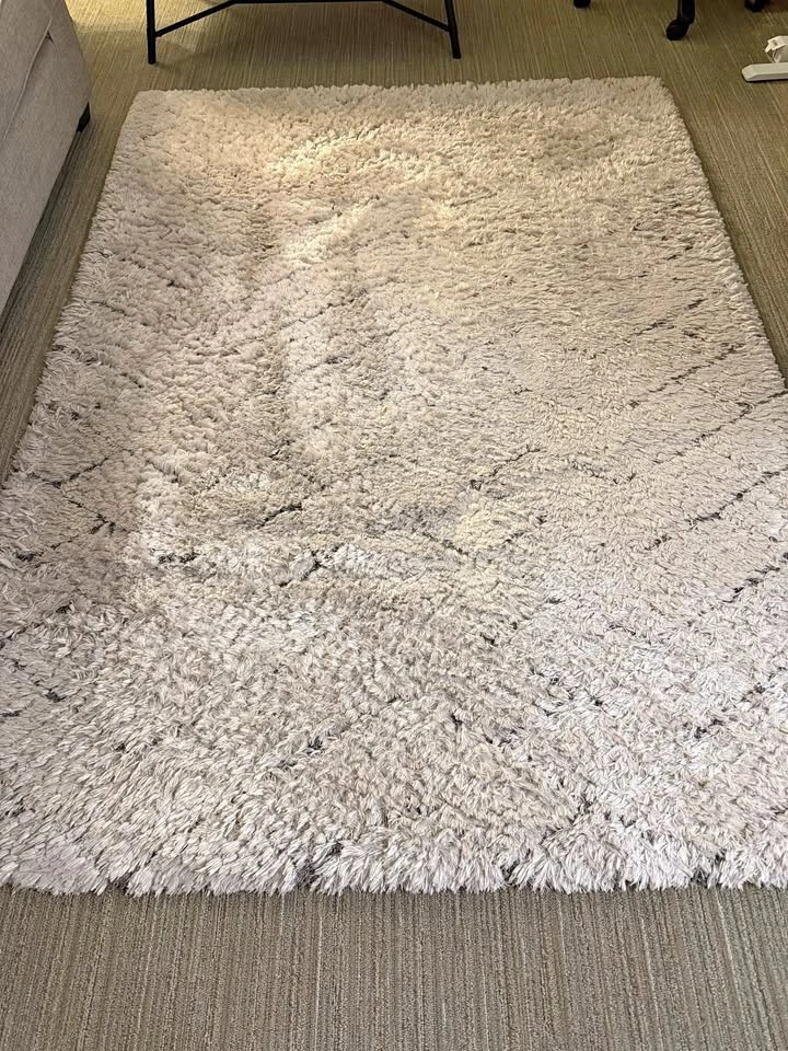 Gray Rug [MUST GO!]
