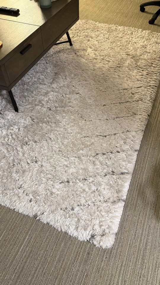 Gray Rug [MUST GO!] - photo 4