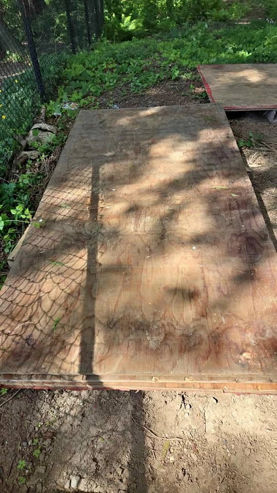 Used 3/4" Plywood 4x8