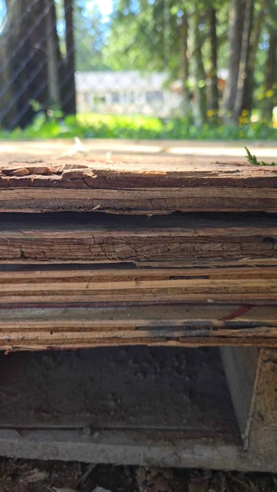 Used 3/4" Plywood 4x8 - photo 3