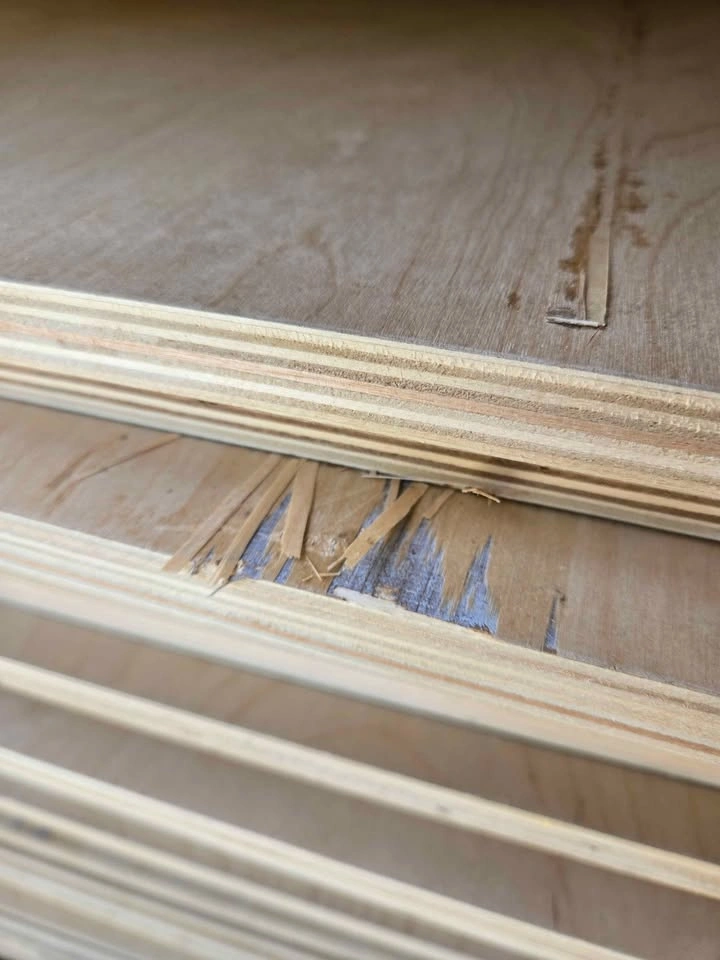3/4" Sanded Baltic Birch Plywood - photo 3
