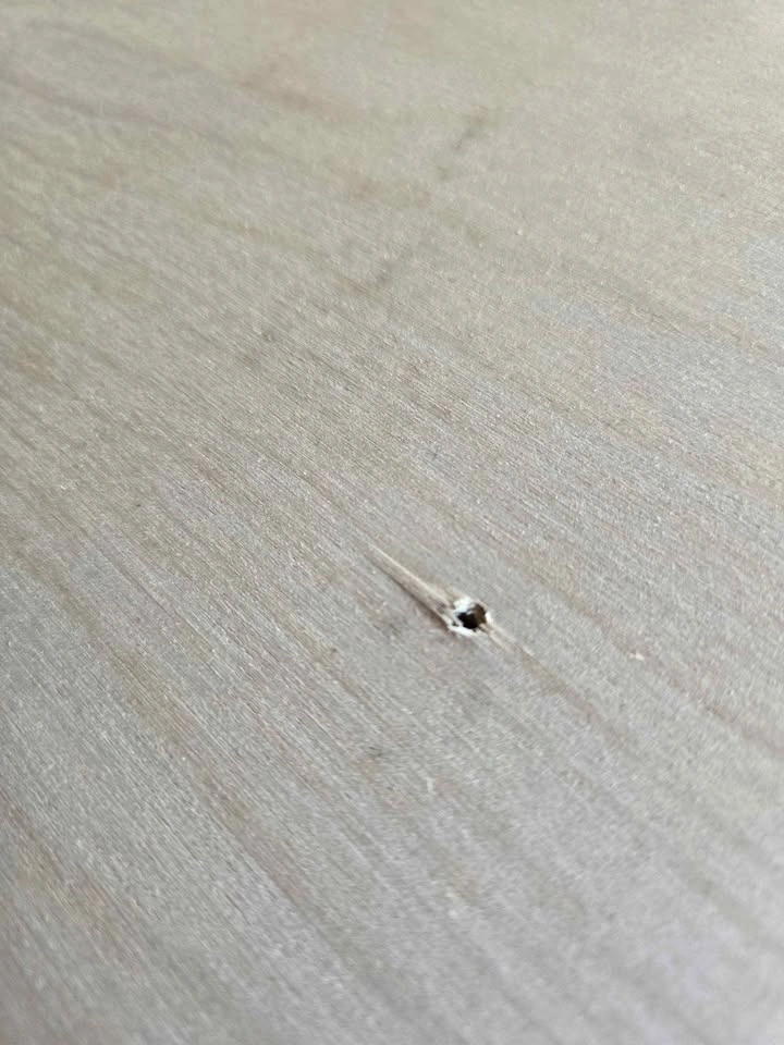 3/4" Sanded Baltic Birch Plywood - photo 5