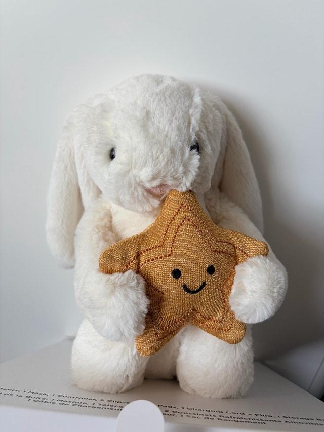 NWT : Jellycat Bunny with Star - photo 2