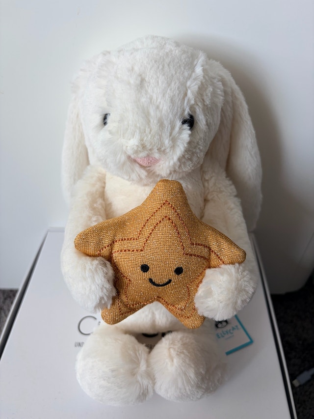NWT : Jellycat Bunny with Star - photo 4