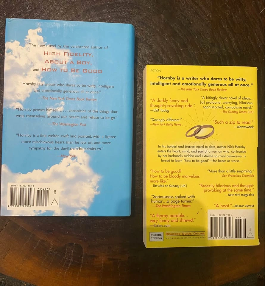 Books: 2 Nick Hornby novels: How To Be Good & A Long Way Down - photo 2