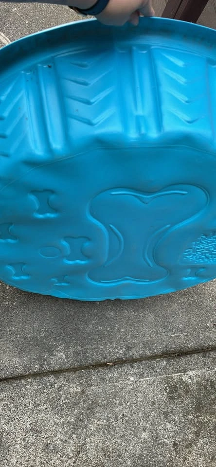 Dog/ kid pool - photo 4