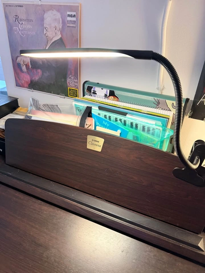 LED Piano Lamp - photo 2