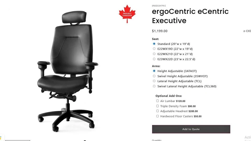 ErgoCentric Executive Chair (eCentric)-Retail $1,199.00