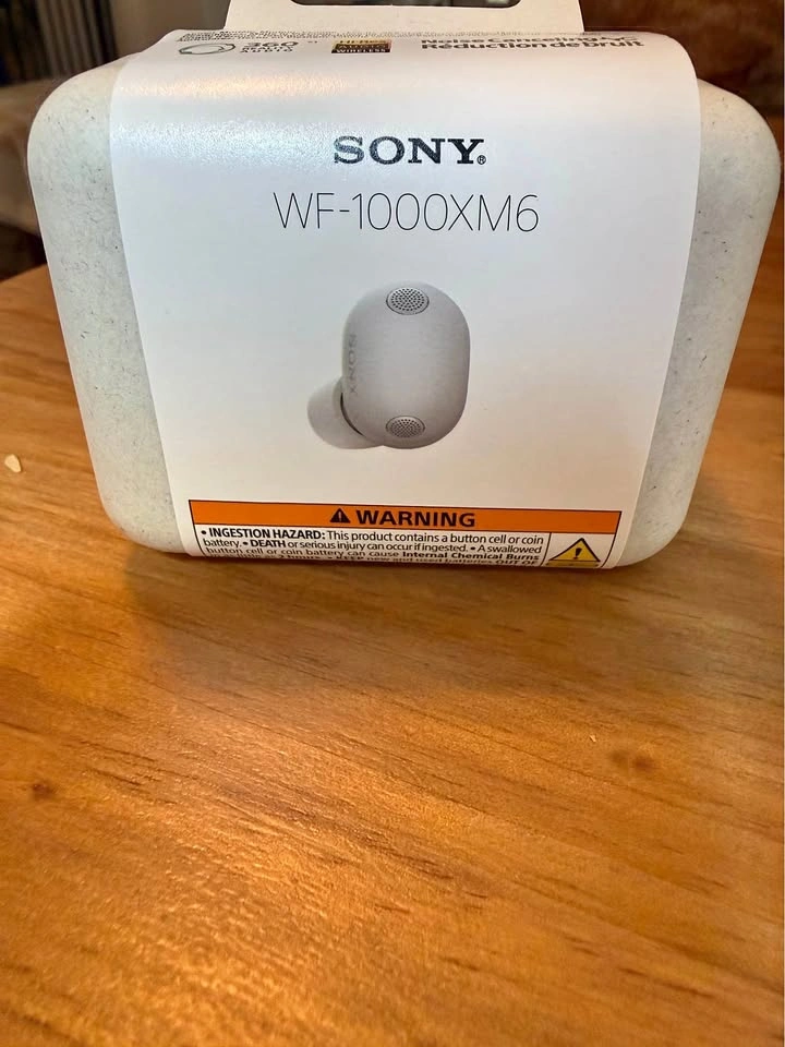 Sony earbuds WF-1000XM6 - Silver
