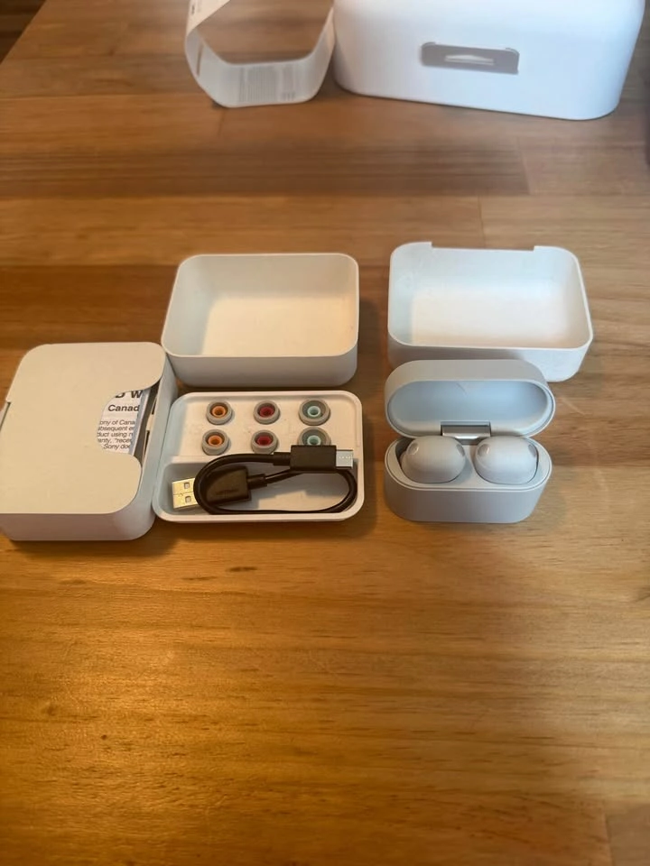 Sony earbuds WF-1000XM6 - Silver - photo 2