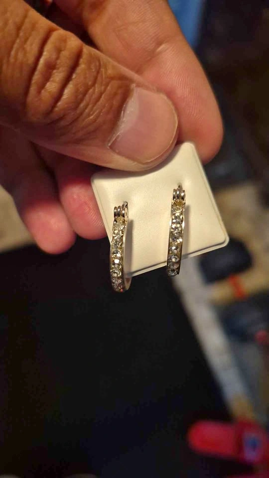 Stainless Steel Hoop Earrings with Austrian Crystals
