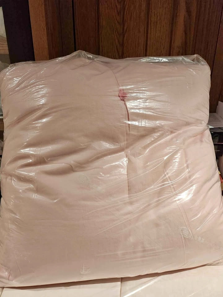 100% Pure Mulberry Silk Queen Duvet