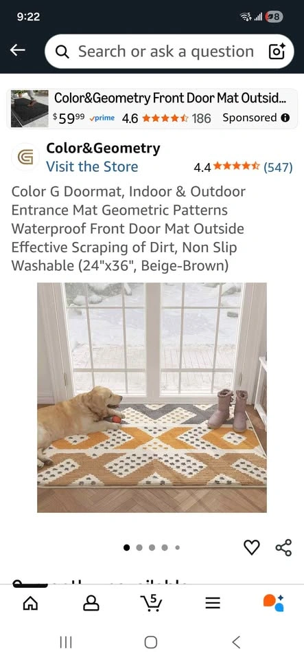 Color G Geometric Indoor Outdoor Doormat 20 x 32 - photo 4