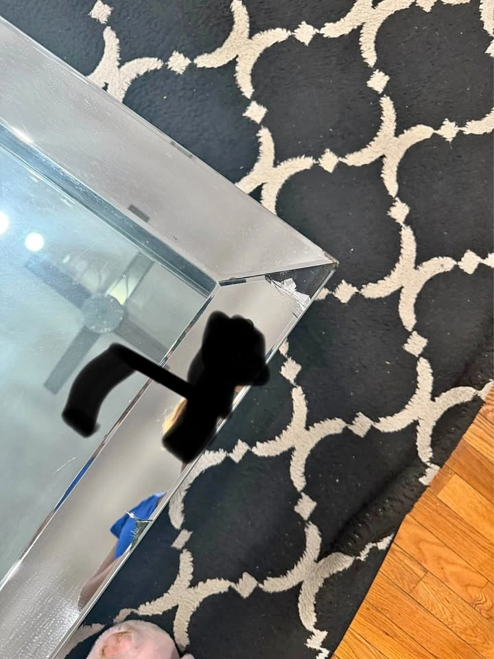 Glass console, center table, mirror, and plant stand