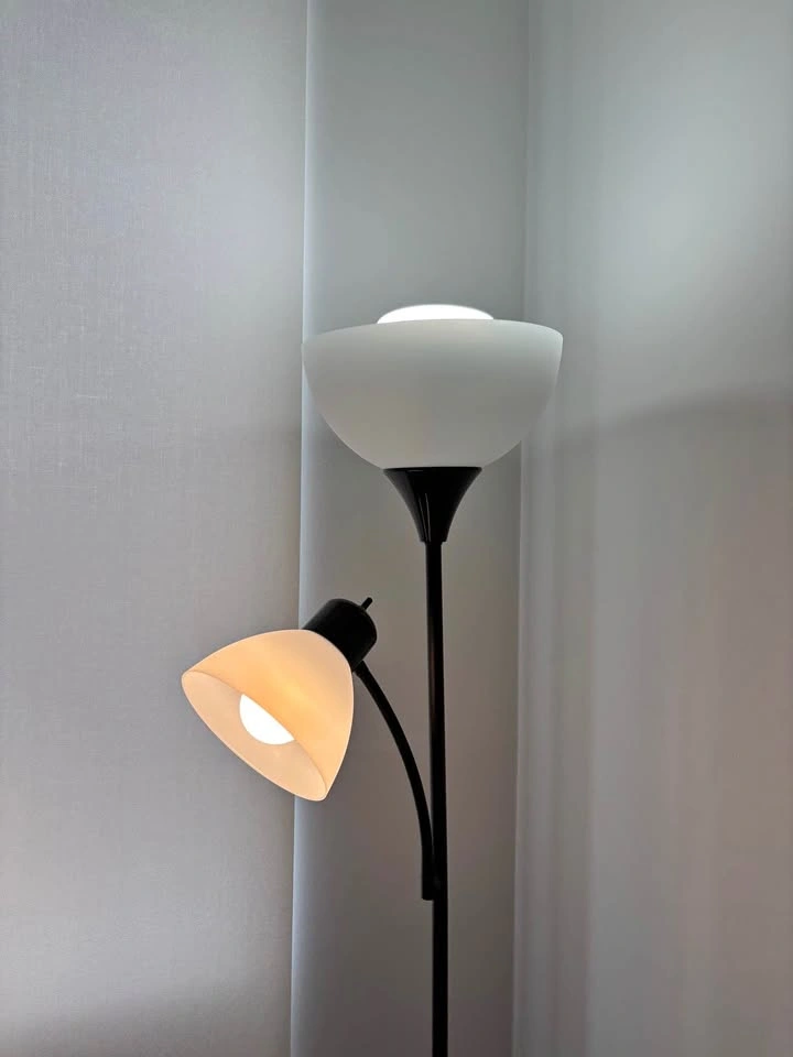 Globe Electric Delilah 72” Matte Black Floor Lamp