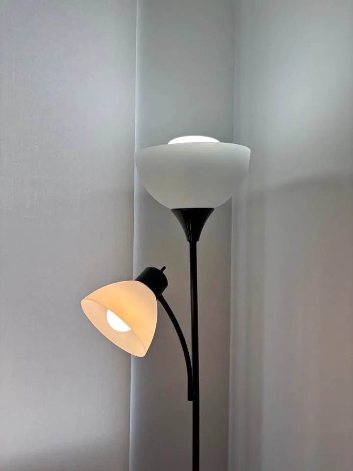 Globe Electric Delilah 72” Matte Black Floor Lamp