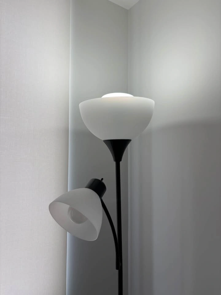 Globe Electric Delilah 72” Matte Black Floor Lamp - photo 2