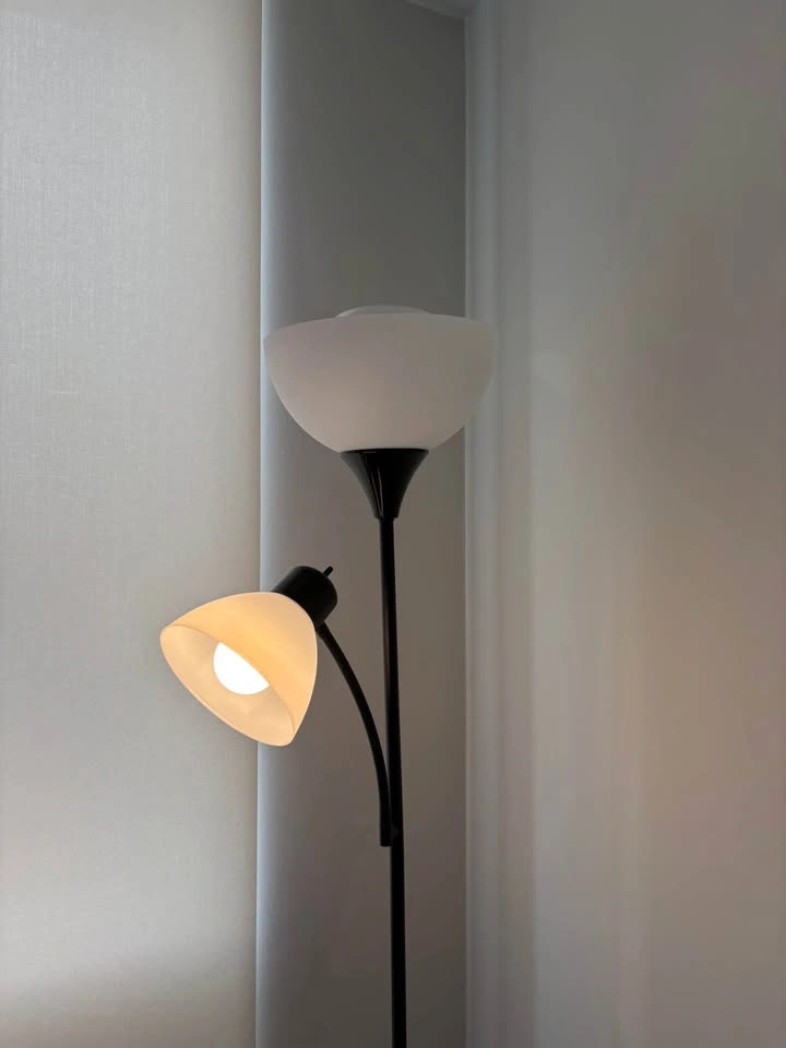 Globe Electric Delilah 72” Matte Black Floor Lamp - photo 3