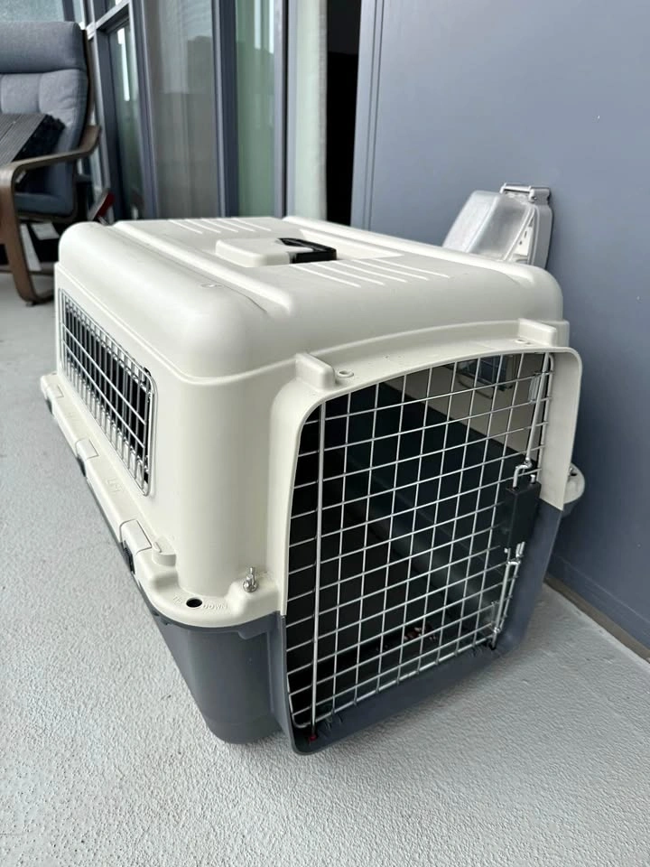 Dog/cat Carrier