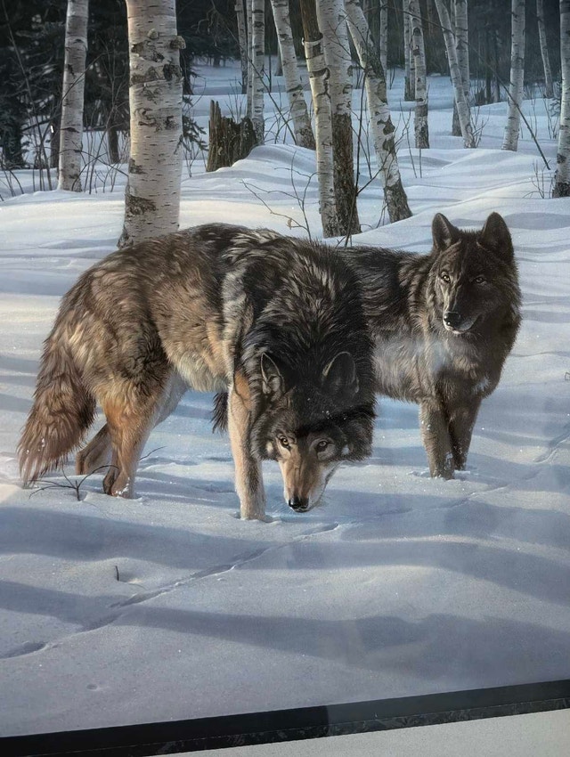 LARGE FRAMED WOLF PRINT
