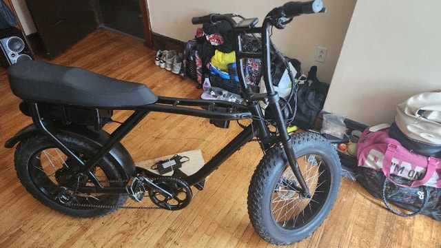 Electric Bike - photo 2