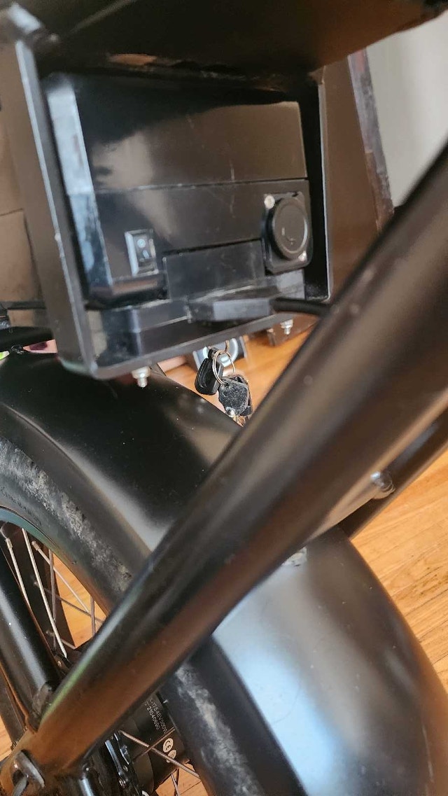 Electric Bike - photo 4