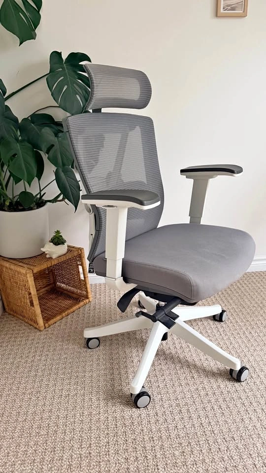 Autonomous Gray White Mesh Ergonomic Office Chair Adjustable