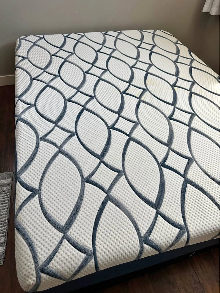 Ashley Queen Mattress, Protector, and Box Spring