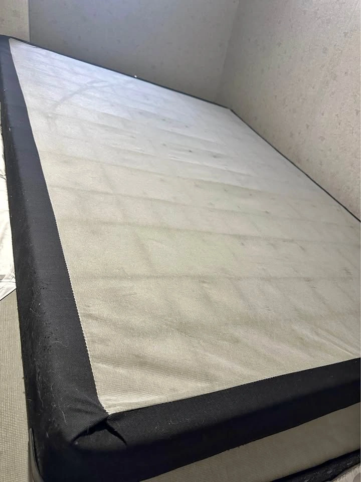 Sealy Posturepedic 15 inch Queen with protector and box spring