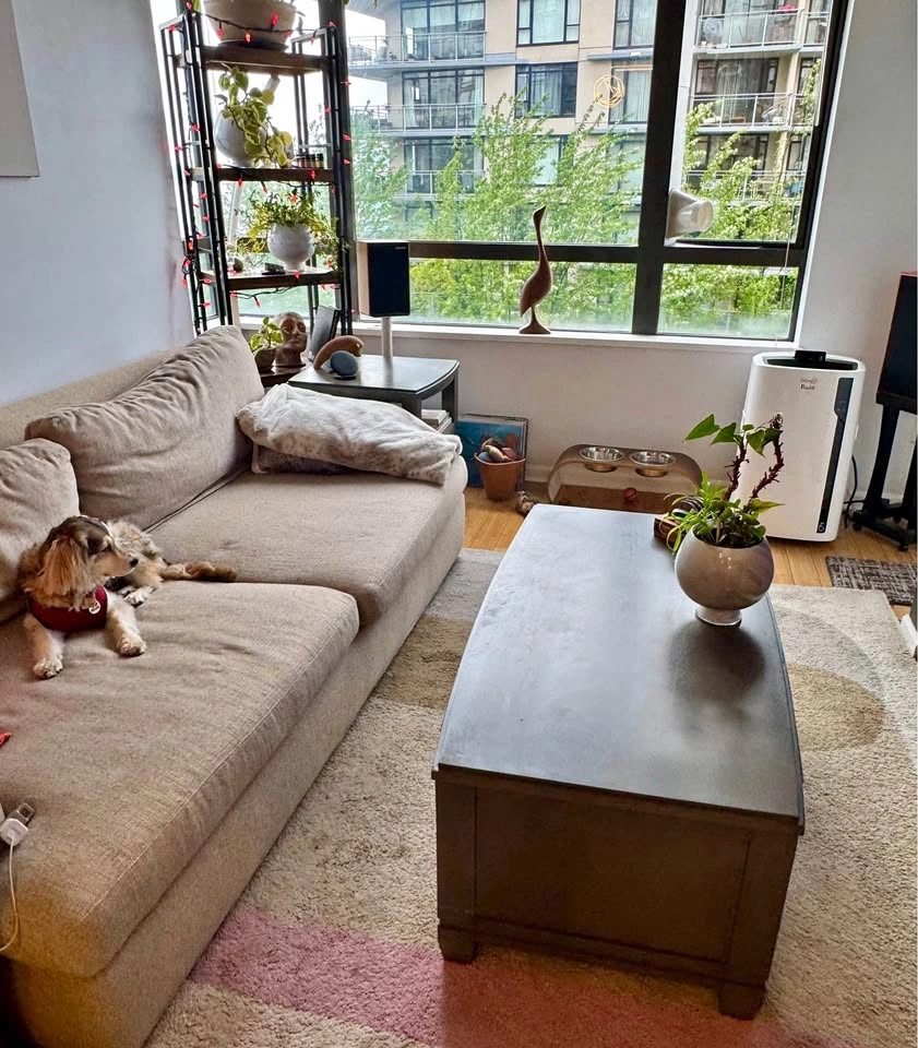 Solid Lift Top Coffee & Side Table