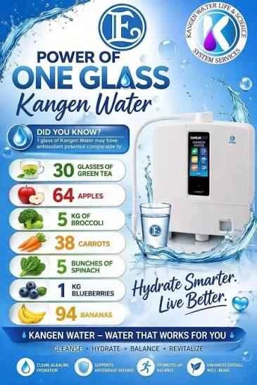 K8 Kangen Machine On Sale!!! - photo 4