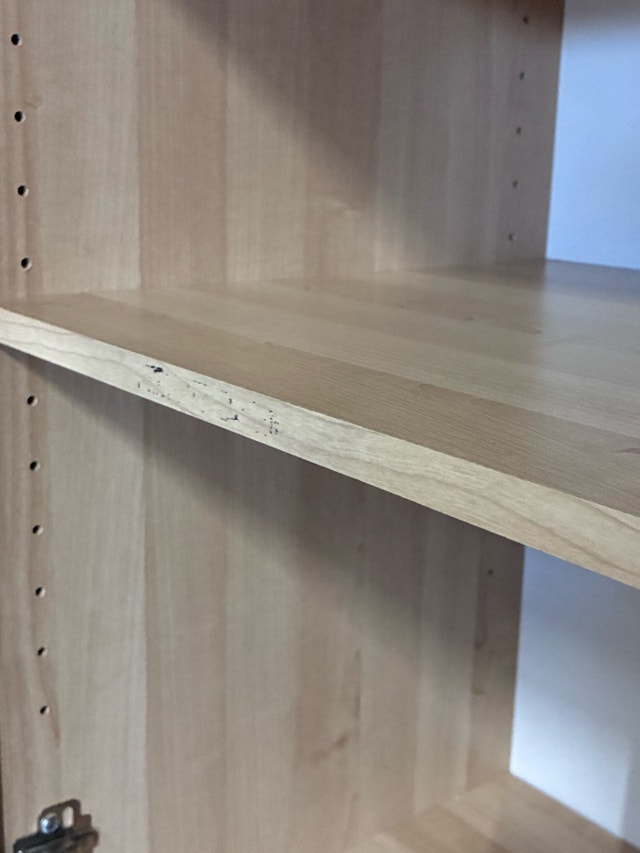 Storage cupboard - pickup only - photo 5