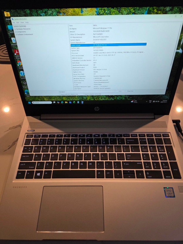 HP ProBook 450 G6, 8GB RAM, 500GB SSD