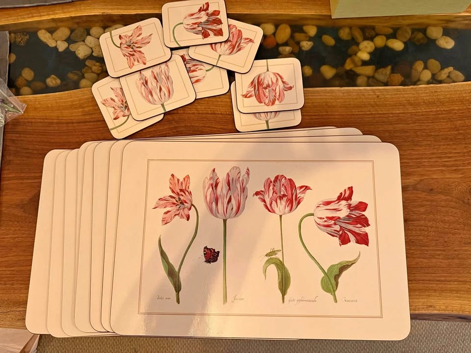 Set of 8 large placemats and coasters