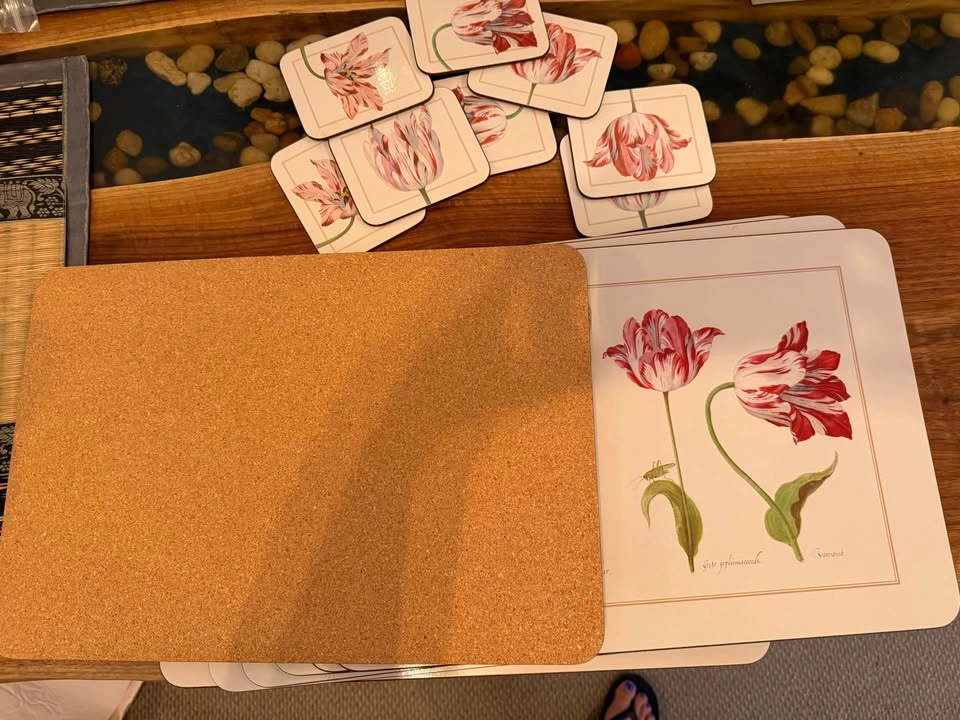 Set of 8 large placemats and coasters - photo 2