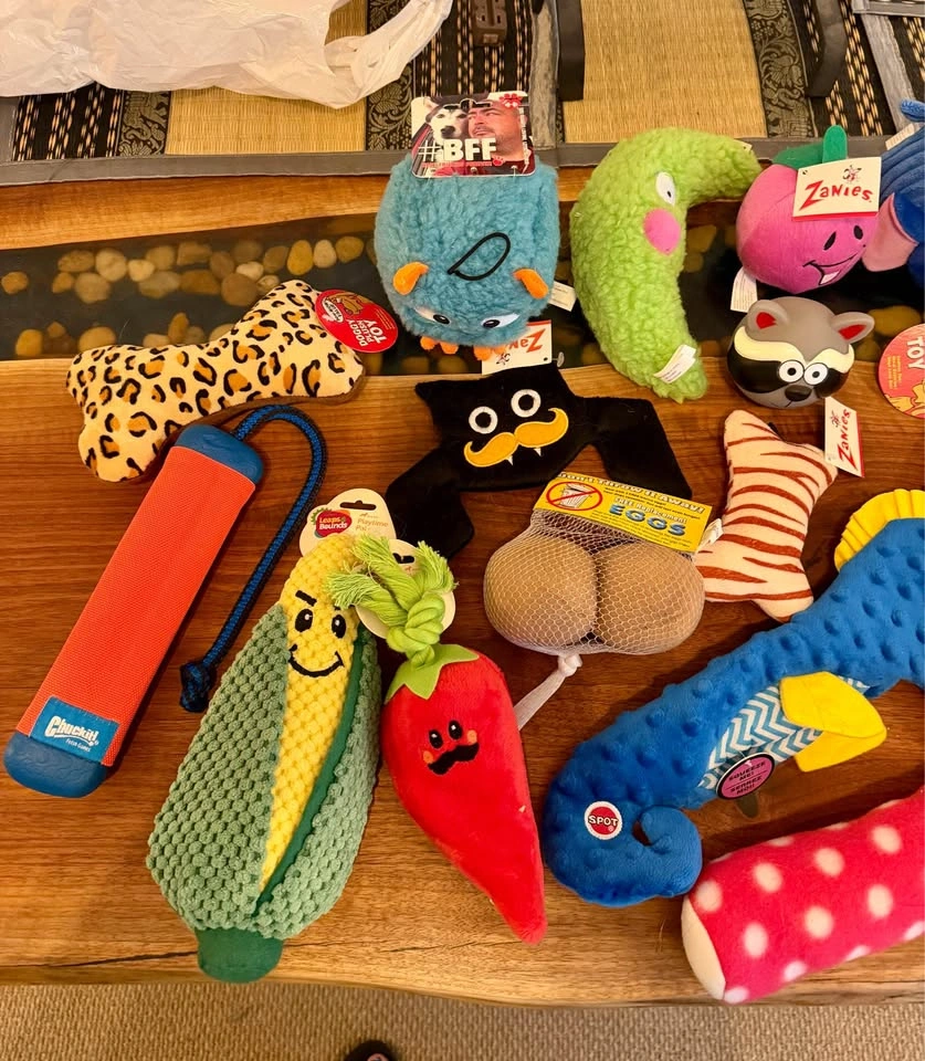 Assorted Dog Toys - photo 2